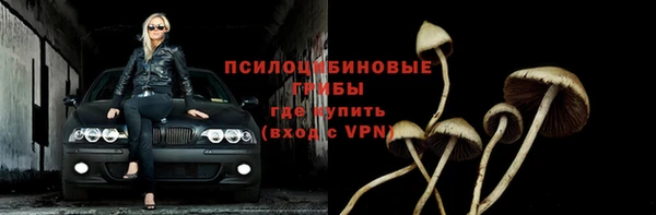 СК Волоколамск