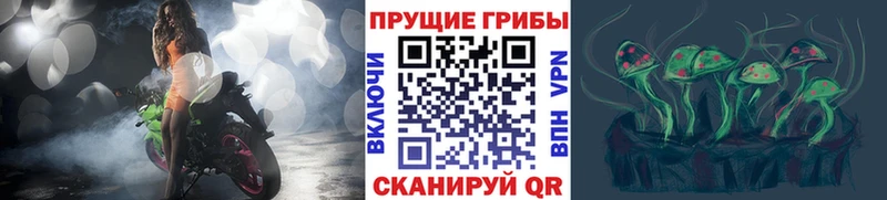 Галлюциногенные грибы GOLDEN TEACHER  сколько стоит  Любим 